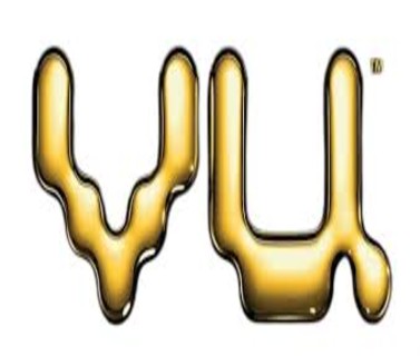 Professional VU TV repair technician at customer home in Delhi